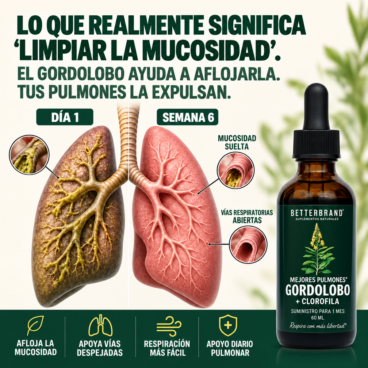 BETTERBRAND ¿Tos, flema o sensación de pecho pesado? Detox