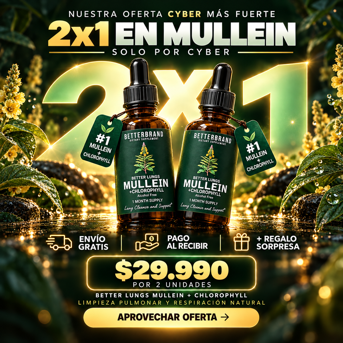BETTERBRAND ¿Tos, flema o sensación de pecho pesado? Detox